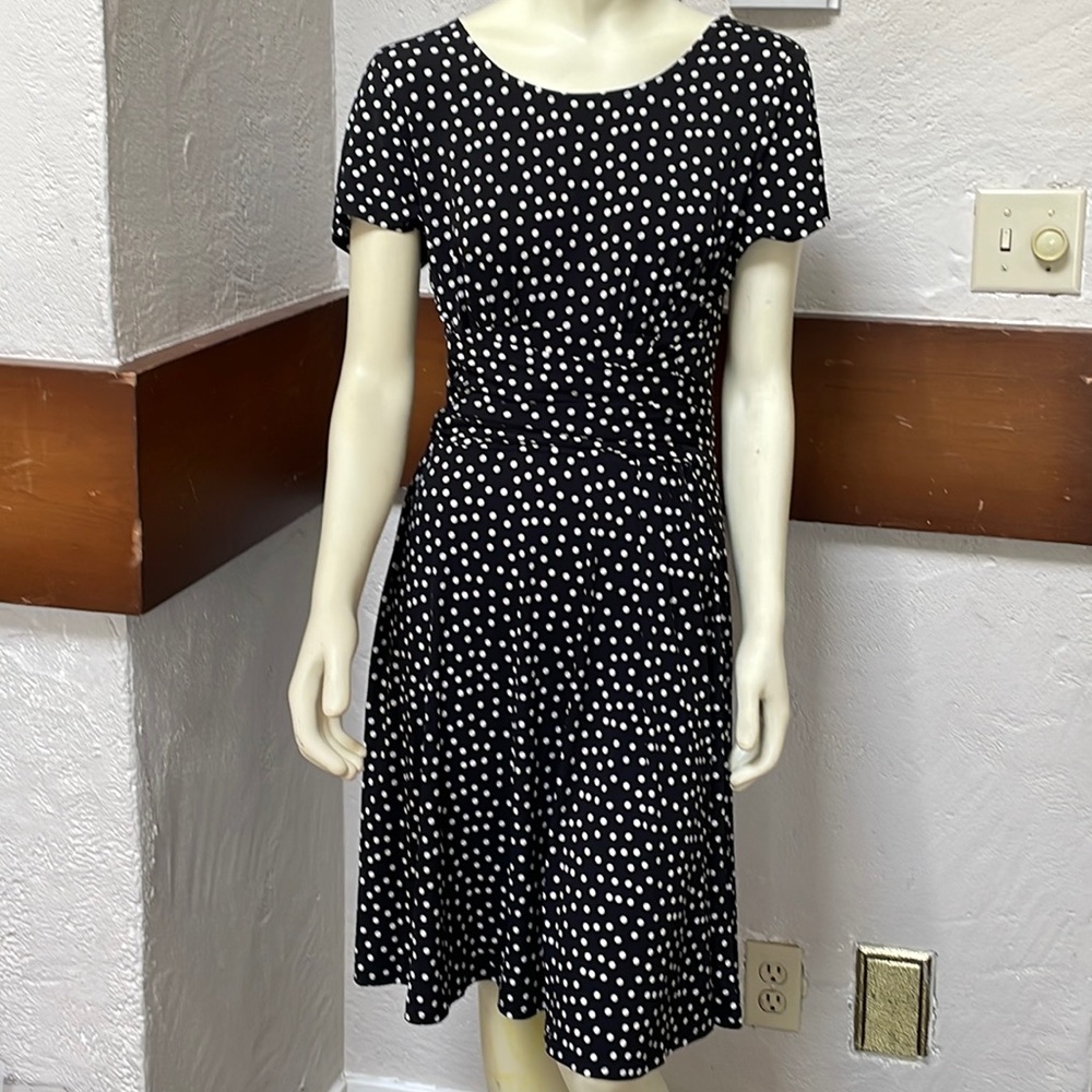 Leota dress new with tag